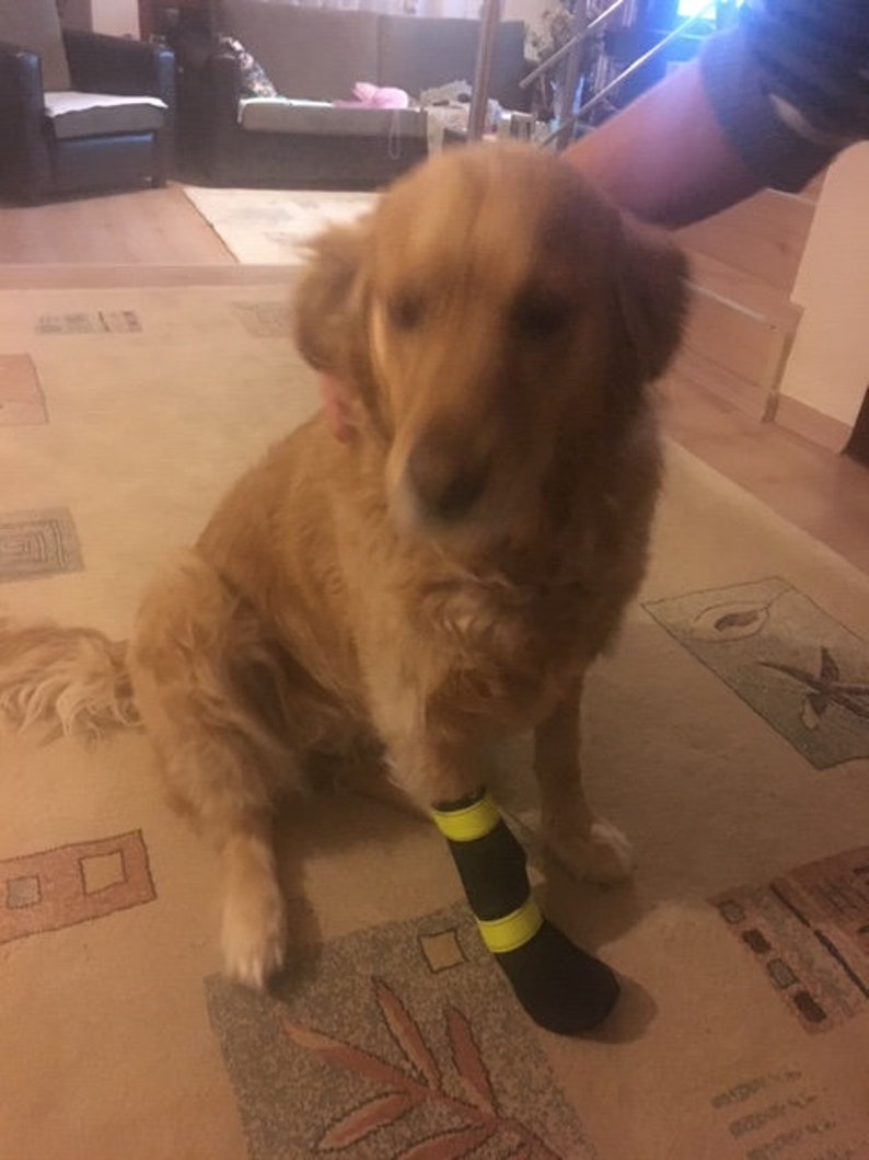 Dog Shoe Pattern, Dog Shoe, High Cut Pattern, Water Repellent Dog