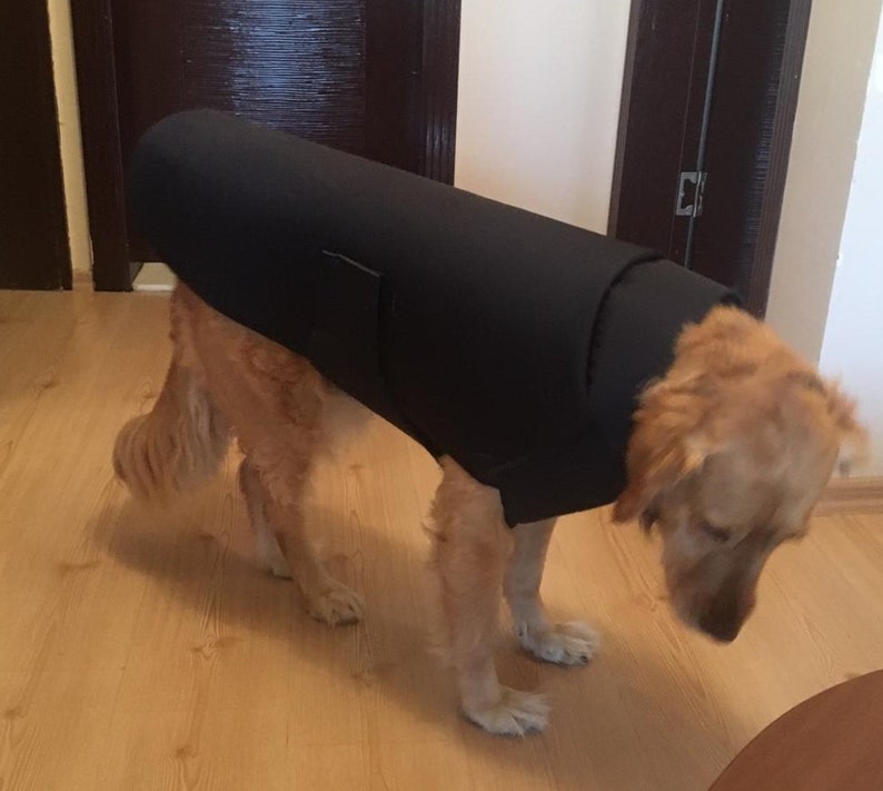 Dog Coat Sewing Pattern Printable Dog Cloth Pattern Ready to Etsy