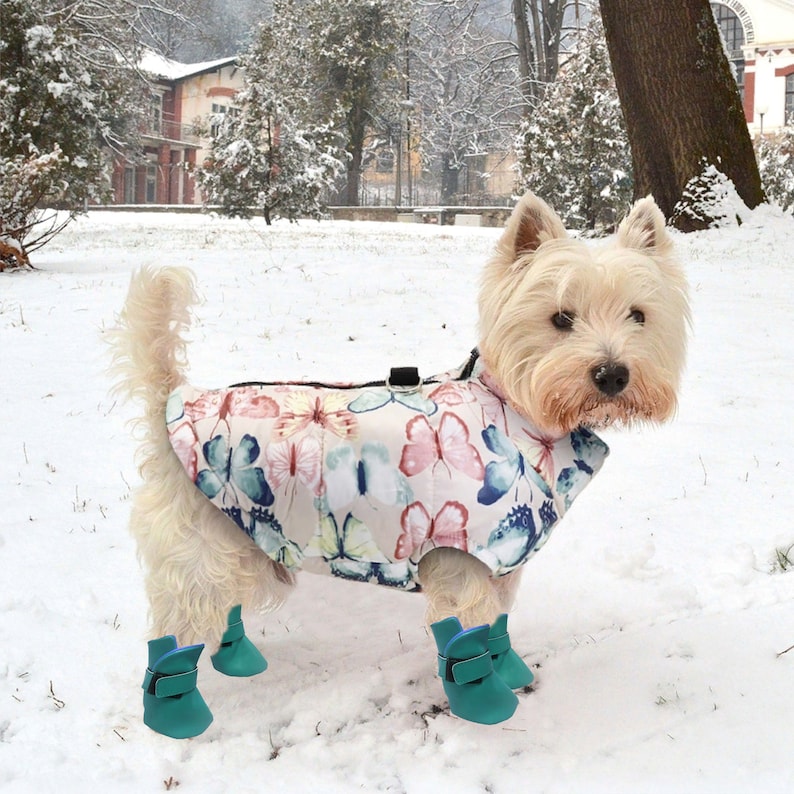 Dog Shoe Pattern Dog Bootie Pattern Printable Pattern Ready Etsy