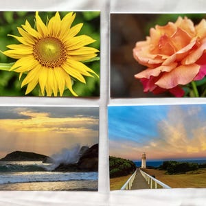 Pack of 8 greeting cards, with envelopes - FREE POSTAGE in Australia -  a great price!