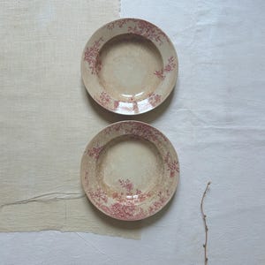Puede incluir: Dos platos antiguos de color crema con un diseño floral rojo descolorido en el borde. Los platos tienen un aspecto ligeramente desgastado, lo que sugiere su antigüedad. Se presentan sobre un fondo neutro.