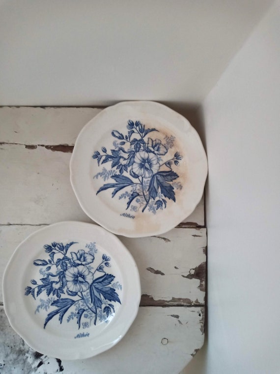 Floral dessert plates deals