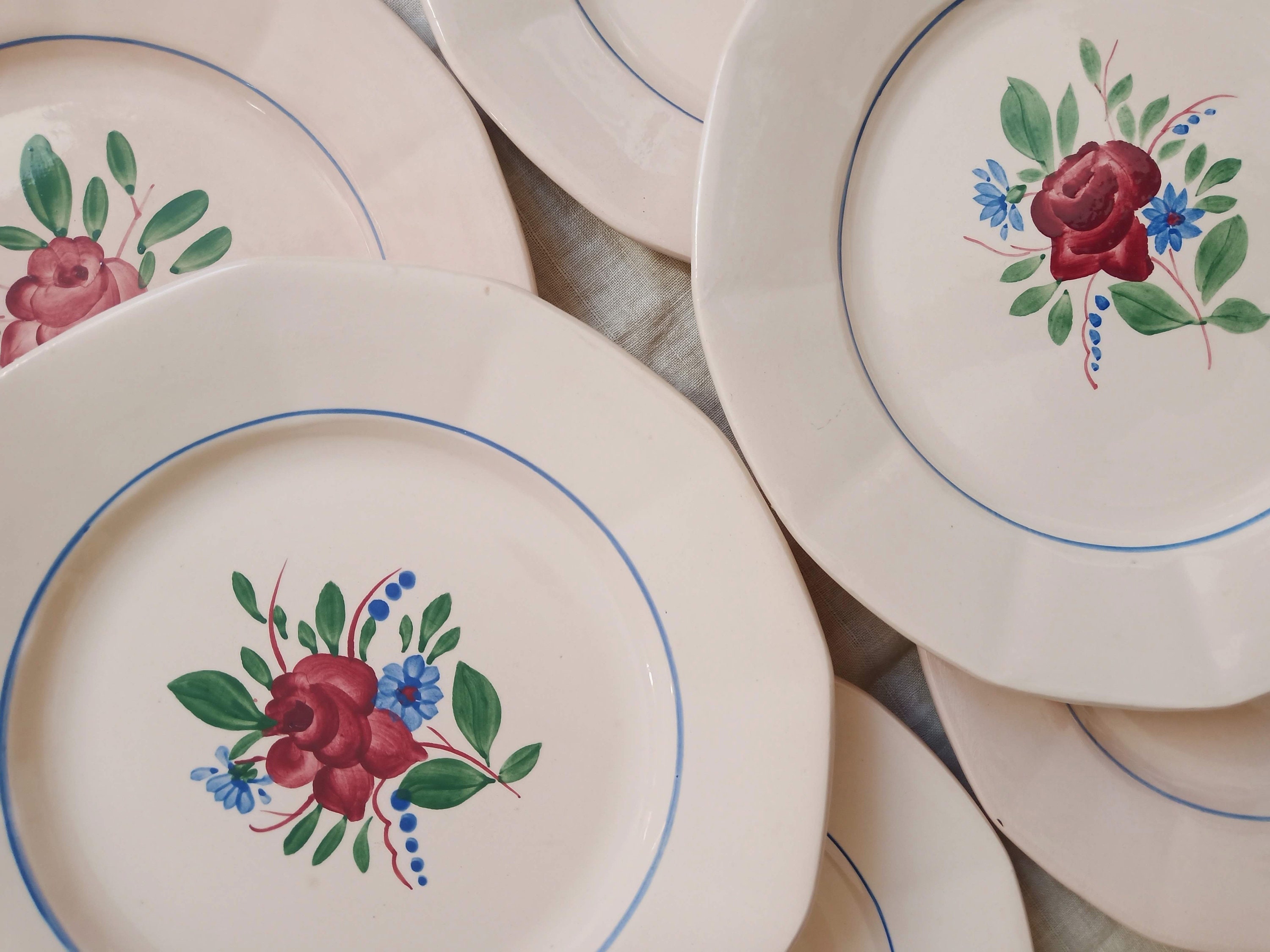 6 Digoin Sarreguemines Dinner Plates.français Floral Dishes.français Dinnerware.français Country Dec