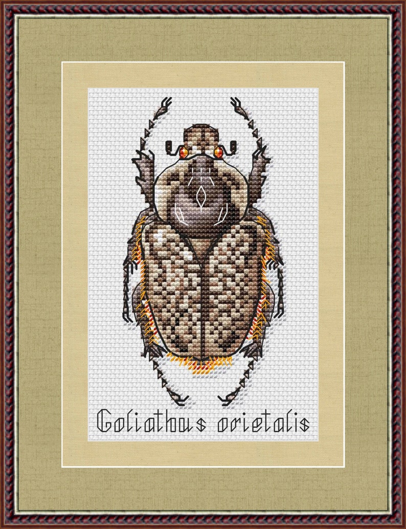 Beetle Counted Cross Stitch Pattern PDF Realistic Insect Etsy