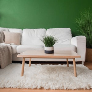 off white natural wool shaggy flokati rug in the living room with emerald walls and beige sofa