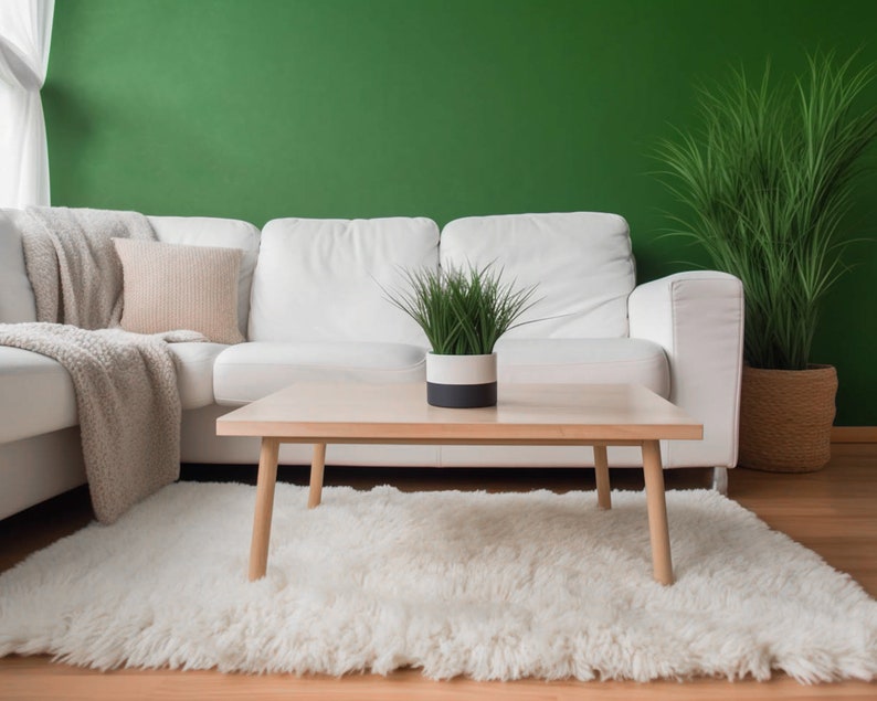 off white natural wool shaggy flokati rug in the living room with emerald walls and beige sofa