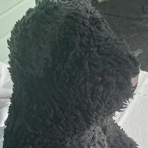 Organic Cotton Sherpa Teddy Bear - black or natural - 16 inches image 9