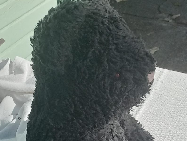 Organic Cotton Sherpa Teddy Bear - black or natural - 16 inches image 9
