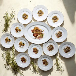 12 Limoges Game Bird Plates & Matching Platter | French Luncheon Plates with Duck, Pheasant, Snipe and Partridge | Elegant Paté Plate Set