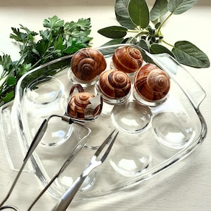 Set of 8 Pyrex Escargot Dishes. Snail Plates. Glass Escargot Plates