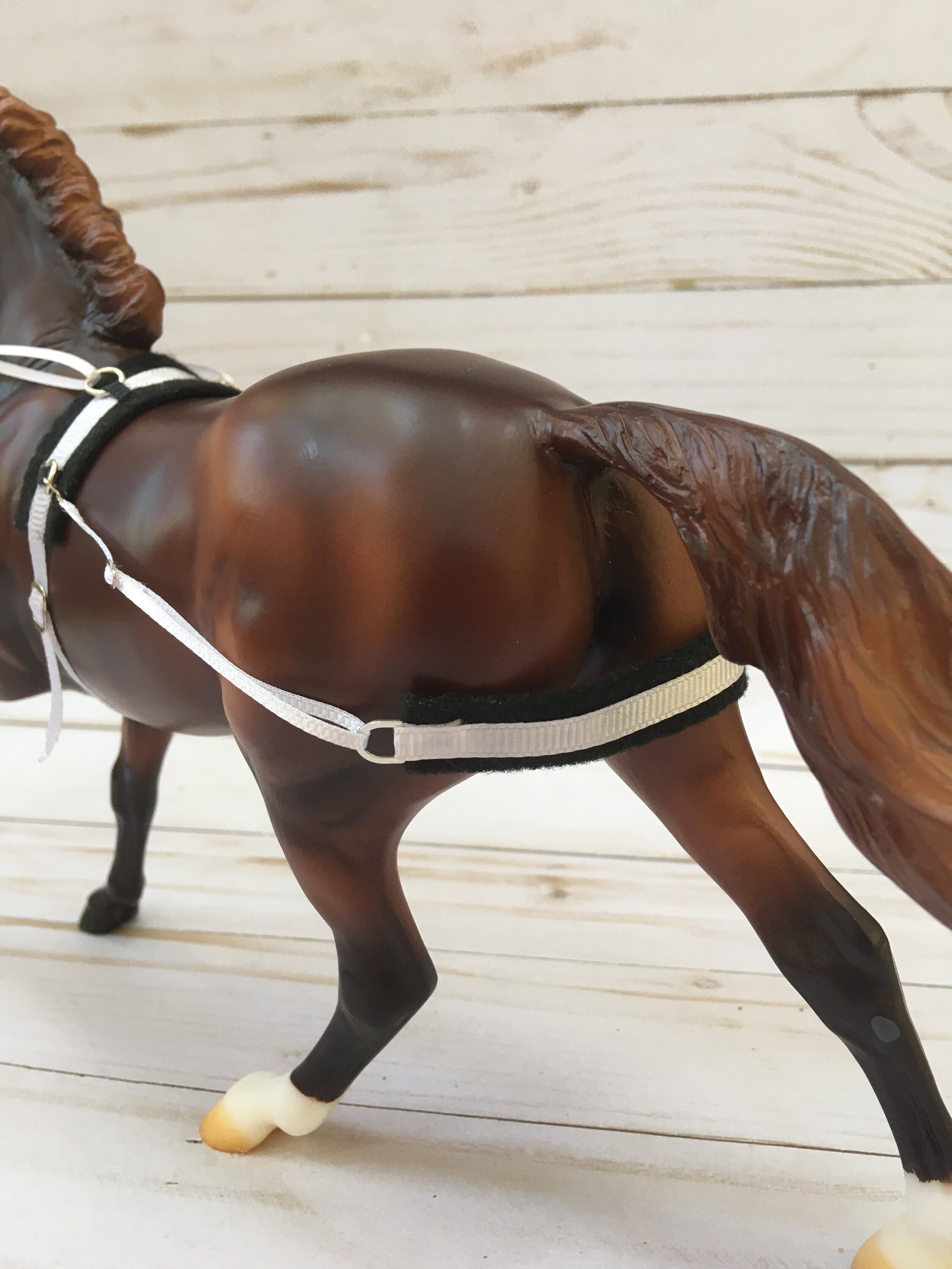 Traditional Full Lunging SetLunging Halter With Harness Side Etsy