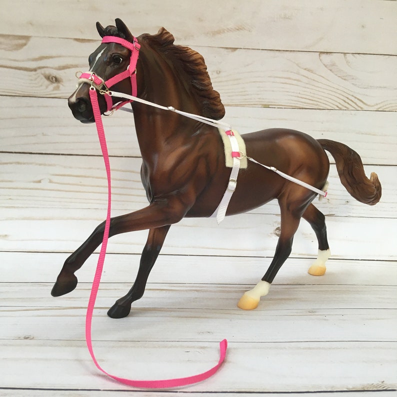 Traditional Colorful Lunging SetLunging Halter With Harness Etsy
