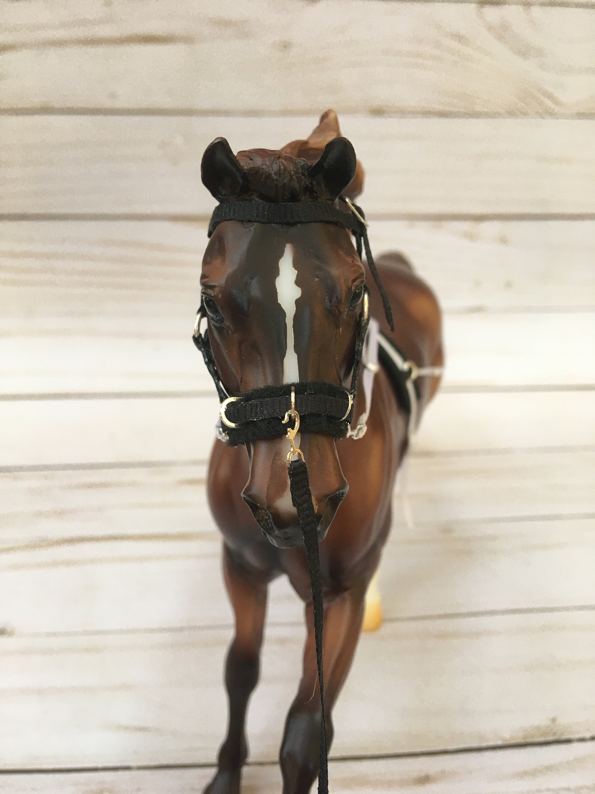 Traditional Full Lunging SetLunging Halter With Harness Side Etsy