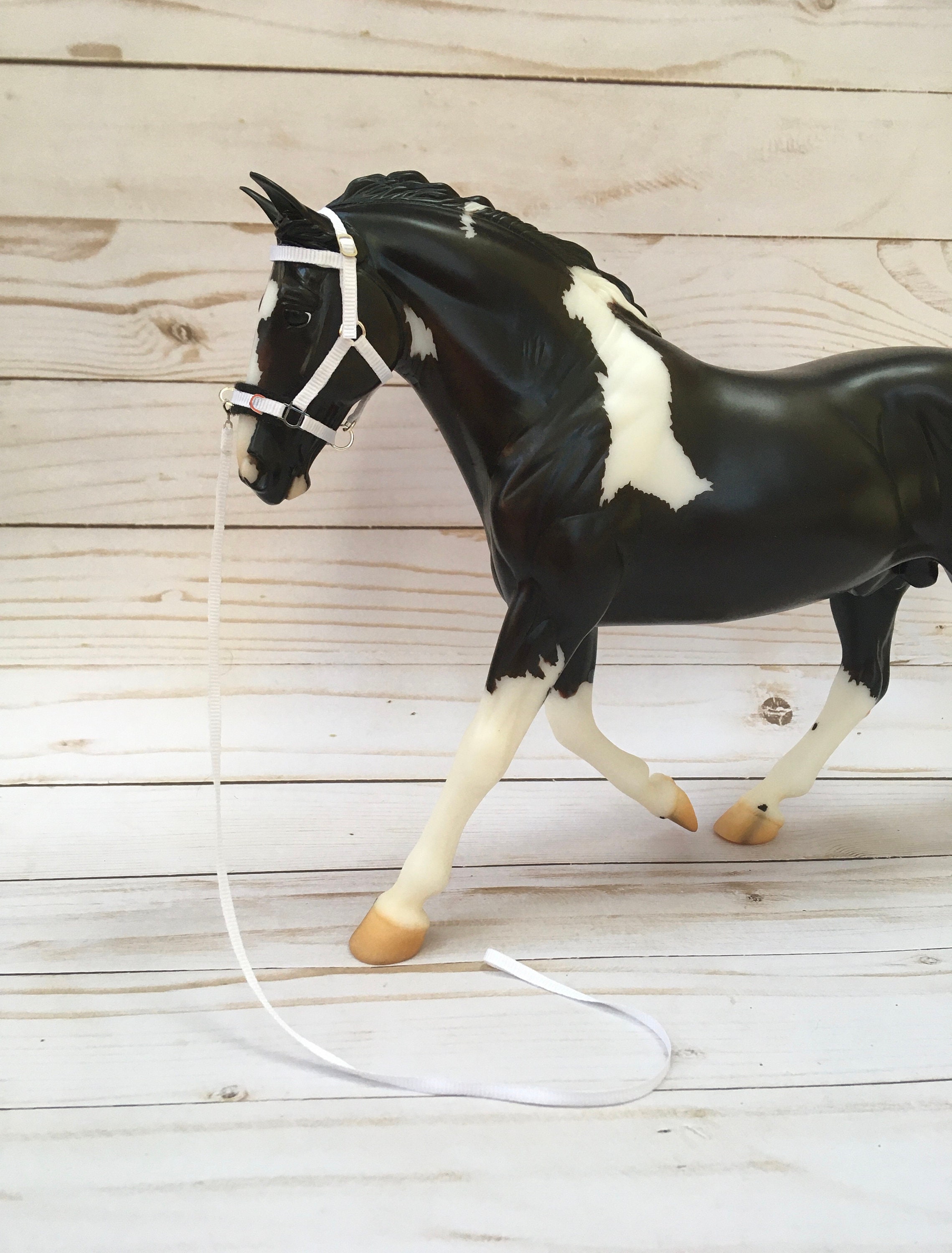 Traditional Draft Lunging HalterLunging Halter And Lunge Etsy