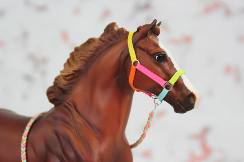 Custom Rainbow Sherbet Halterbreyer Traditional or Peter Etsy