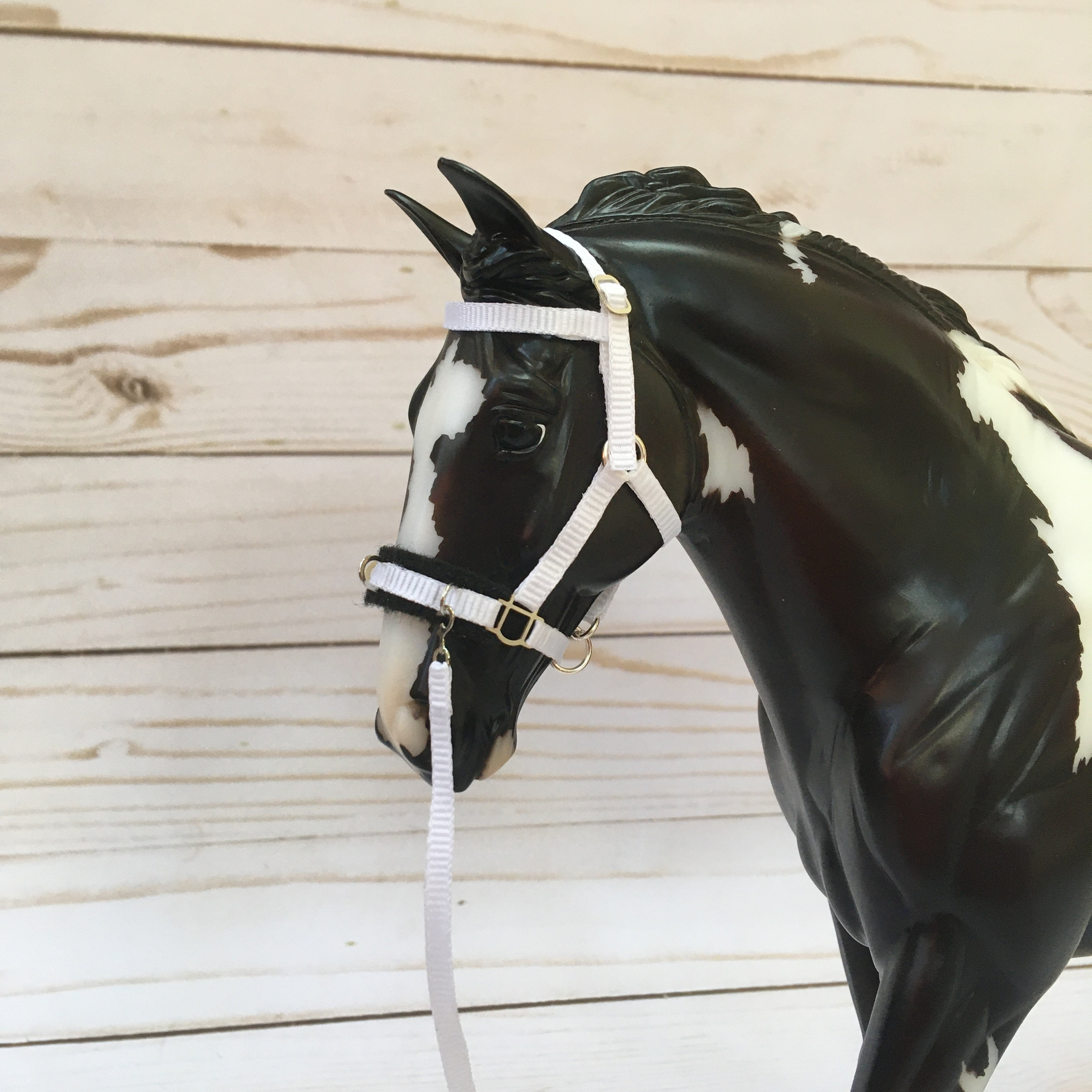 Traditional Draft Lunging HalterLunging Halter And Lunge Etsy