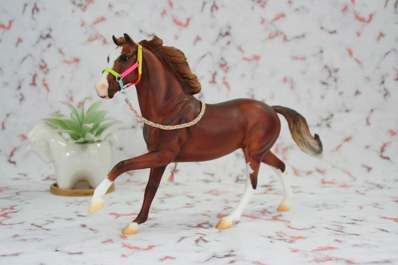 Custom Rainbow Sherbet Halterbreyer Traditional or Peter Etsy