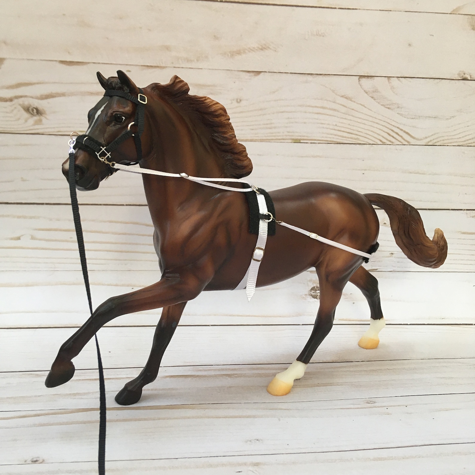 Traditional Full Lunging SetLunging Halter With Harness Side Etsy
