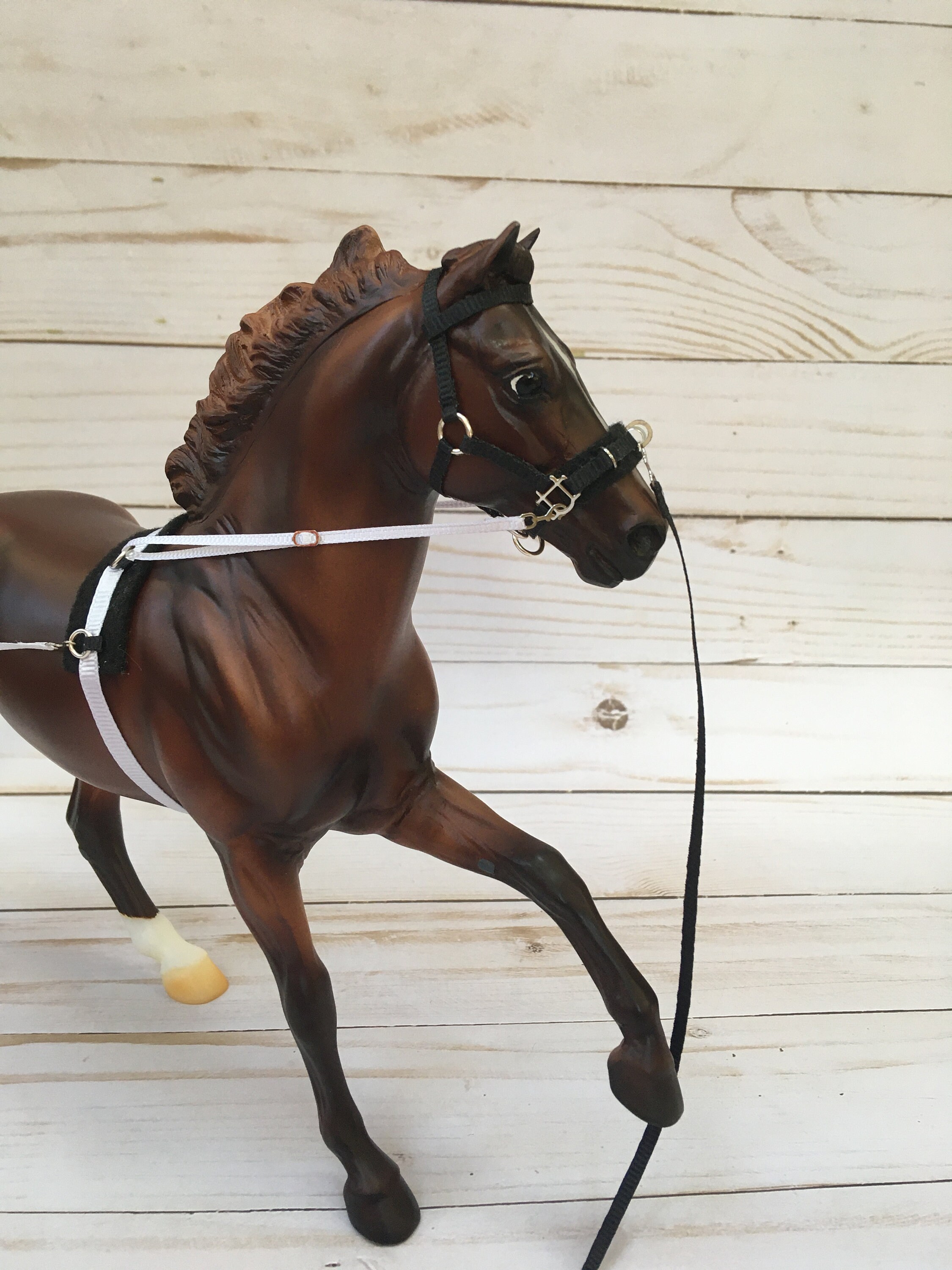 Traditional Full Lunging SetLunging Halter With Harness Side Etsy