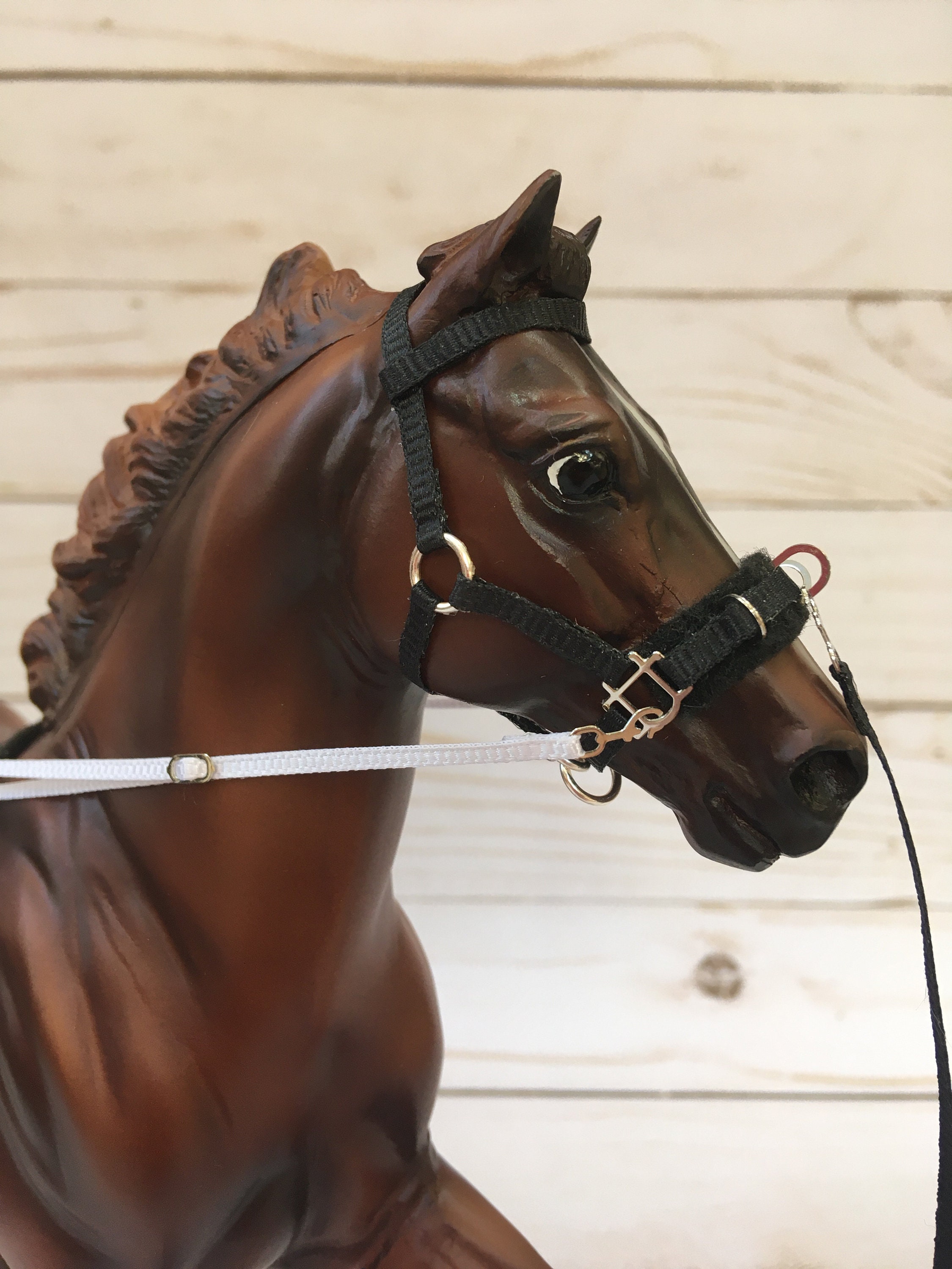 Traditional Full Lunging SetLunging Halter With Harness Side Etsy