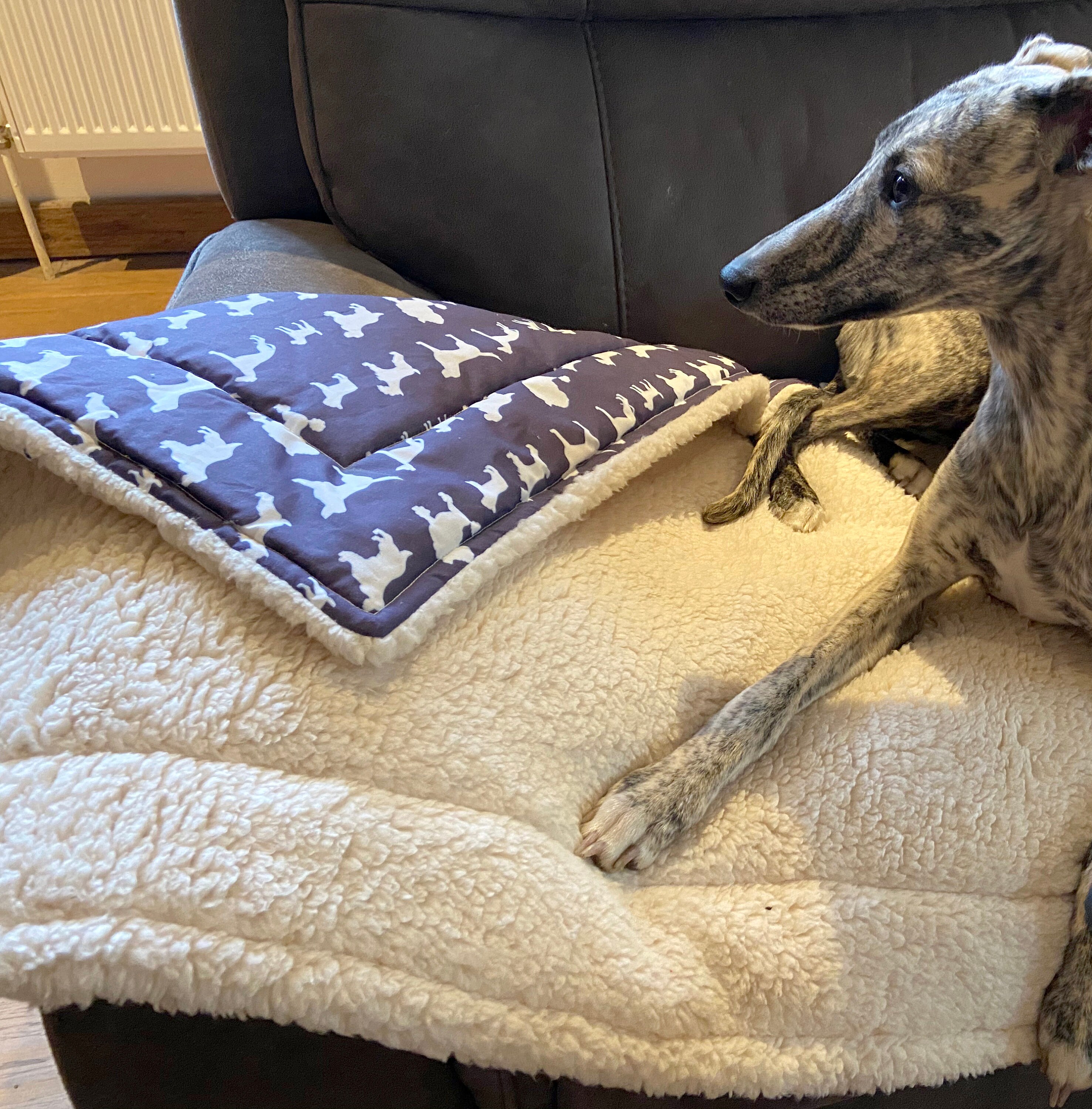 Soft Dog Blanket, Large Dog Blanket, Sherpa Blanket, Dog Design Blanket