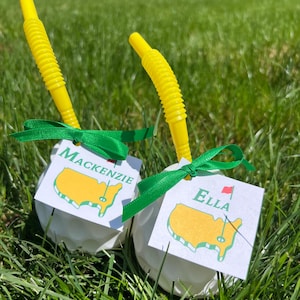 Etiquetas digitales para recuerdos de cumpleaños de golf, etiquetas con nombre personalizadas, etiquetas para recuerdos de cumpleaños de Masters, Par-Tee, Hoyo en Uno, etiquetas para bolsas de regalo
