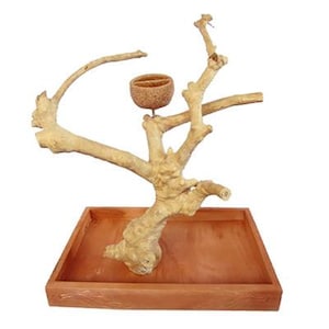A&E Java Tree