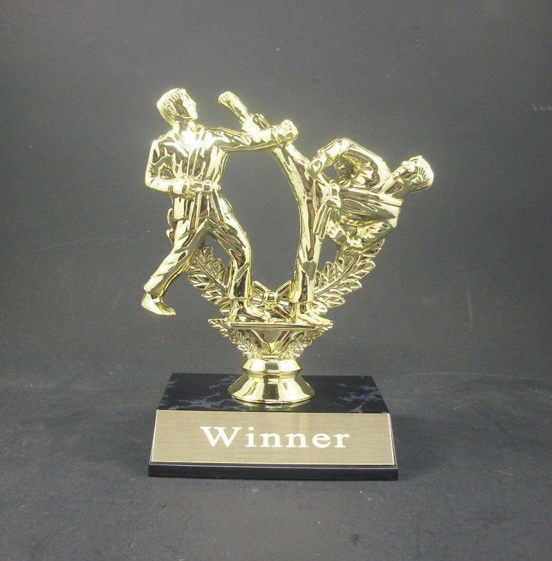 Martial Arts Judo Karate  Trophy Award Prize  Marble Base  FREE ENGRAVING 