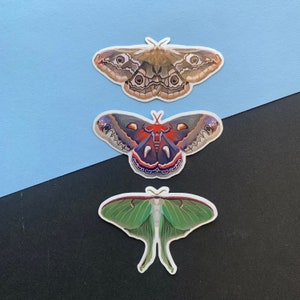 Moth Sticker Set - Cecropia, Emperor, Luna Moth