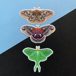 Ensemble d'autocollants papillons de nuit - Cecropia, empereur, papillon de nuit luna