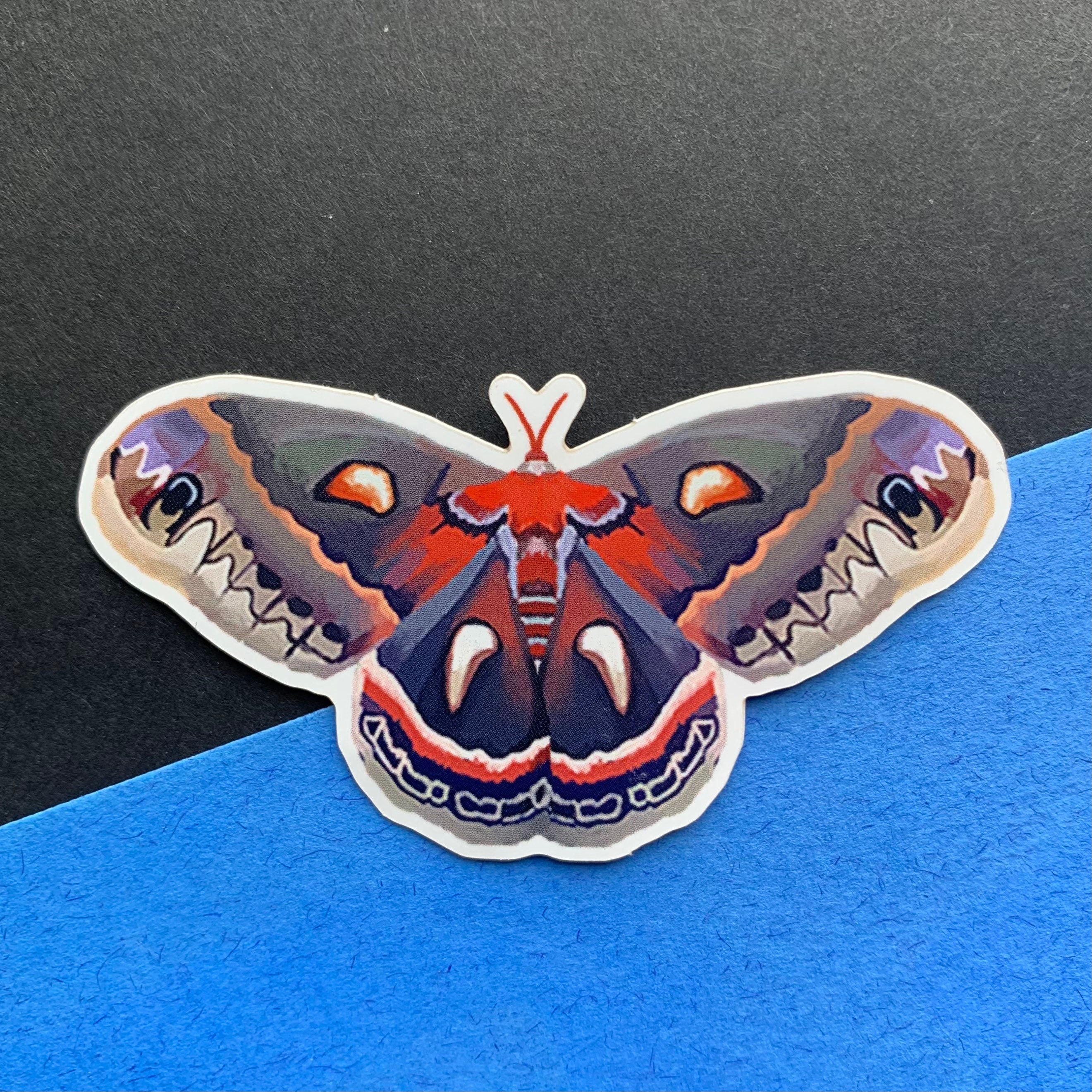 Cecropia Moth Sticker Etsy