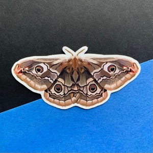 Emperor Moth Sticker