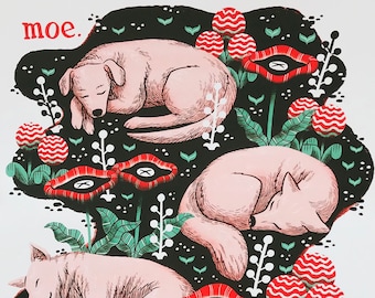 moe. - 10.26.18 - Charlottesville, VA