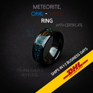 T-rex Dinosaur bone  opal meteorite engagement ring, meteorite ring men, mens ring, meteorite ring, unique mens ring, mens wedding band,