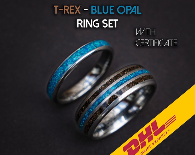 dinosaur bone ring , meteorite ring, wedding ring set for woman and men, couples ring, trex ring, blue opal ring, decazi