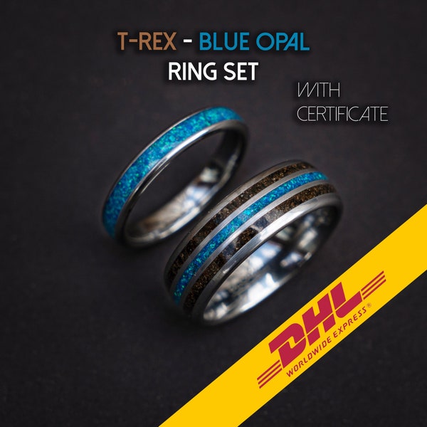 Bague en os de dinosaure, bague météorite, ensemble d’alliance pour femme et homme, bague couple, bague trex, bague opale bleue, decazi