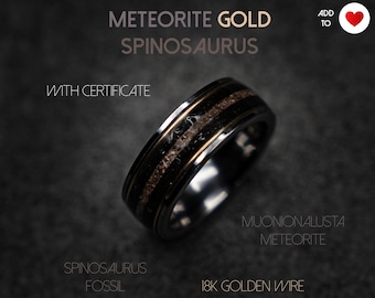 Spinosaurus/Megalodon Dinosaur bone ring, handmade jewelry, meteorite, tungsten wedding band, mens wedding band, unique ring | Decazi