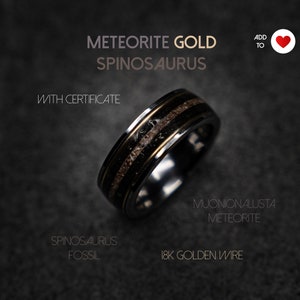 Spinosaurus/Megalodon Dinosaur bone ring, handmade jewelry, meteorite, tungsten wedding band, mens wedding band, unique ring | Decazi