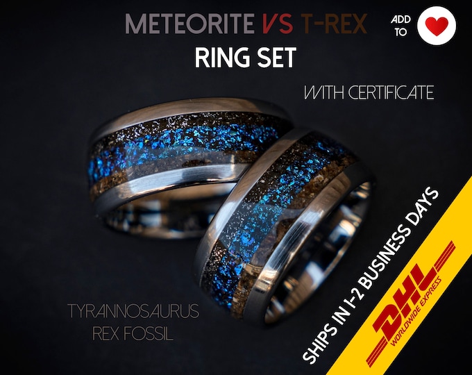 Dinosaur bone wedding ring set, couples rings, T rex fossil, tyrannosaurus meteorite ring, meteorite ring men, mens wedding band | Decazi