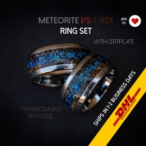 Dinosaur bone wedding ring set, couples rings, T rex fossil, tyrannosaurus meteorite ring, meteorite ring men, mens wedding band | Decazi