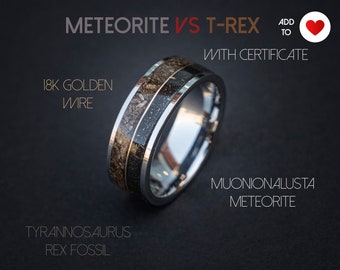 T-rex Dinosaur bone meteorite engagement ring, meteorite ring, mens ring, meteorite ring, dinosaur ring, unique ring, handmade jewelry