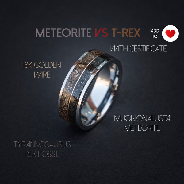 T-rex Dinosaurier-Knochen-Meteoriten-Verlobungsring, Meteoritenring, Herrenring, Meteoritenring, Dinosaurierring, einzigartiger Ring, handgefertigter Schmuck