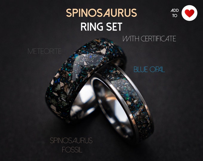 Spinosaurus wedding ring set with Blue galaxy opal and meteorite dust, Best friend rings, couple ring set, couples ring | Decazi