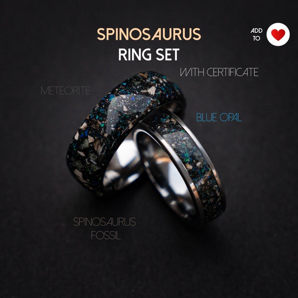 Spinosaurus wedding ring set with Blue galaxy opal and meteorite dust, Best friend rings, couple ring set, couples ring | Decazi