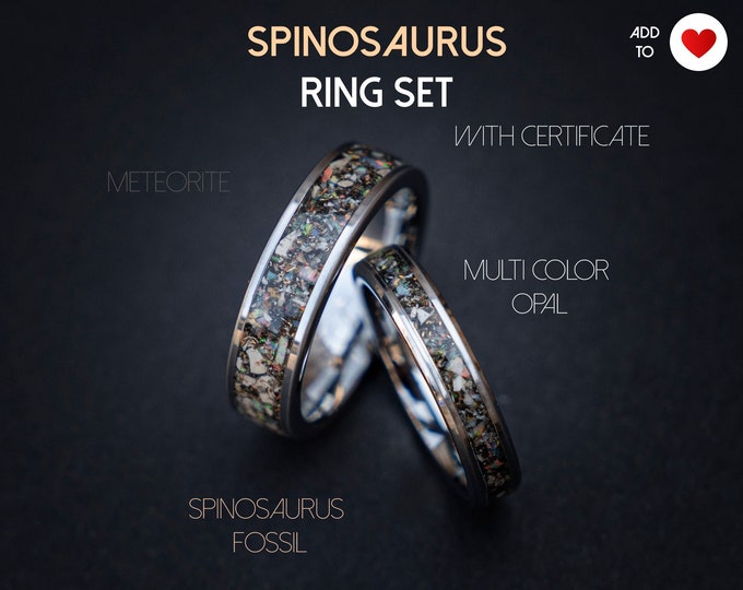 Spinosaurus wedding ring set with multi color opal and meteorite dust, Best friend rings, couple ring set, couples ring | Decazi