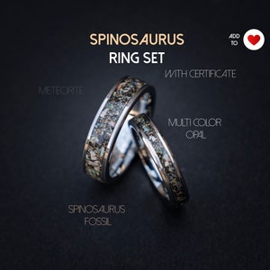 Spinosaurus wedding ring set with multi color opal and meteorite dust, Best friend rings, couple ring set, couples ring | Decazi