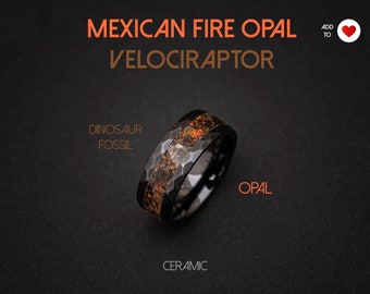 Velociraptor Dinosaur Bone Ring, Mexican fire opal, Meteorite Ring, Men Black ring, Meteorite Dinosaur Bone ring, Handmade meteorite jewelry