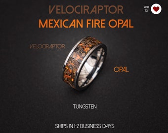 Anneau d’os de dinosaure Velociraptor, opale de feu mexicaine, anneau d’os de dinosaure météorite, anneau de météorite, bague en argent, bijoux de météorite faits à la main