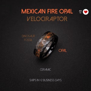Velociraptor Dinosaur Bone Ring, Mexican fire opal, Meteorite Ring, Men Black ring, Meteorite Dinosaur Bone ring, Handmade meteorite jewelry