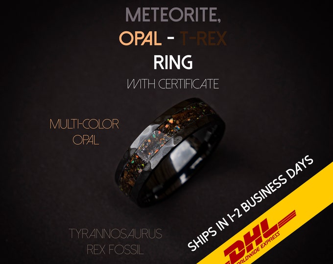 T-rex dinosaur bone ring with meteorite and opal, engagement ring, mens ring, meteorite ring, meteorite ring men, mens wedding band